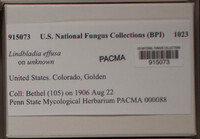 Image Associated With the Occurence